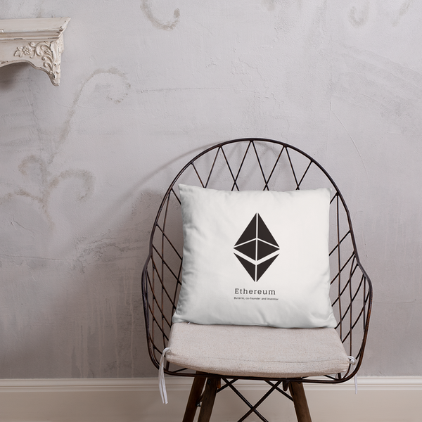 Buterin, co-founder and inventor - Pillow