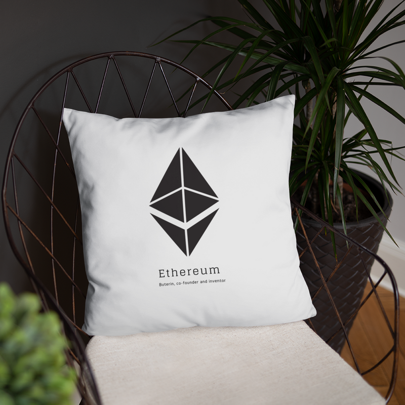 Buterin, co-founder and inventor - Pillow