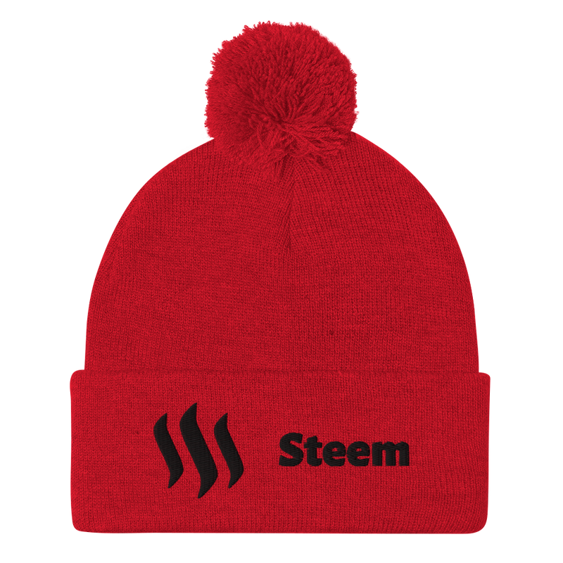 Steem - Pom-Pom Beanie